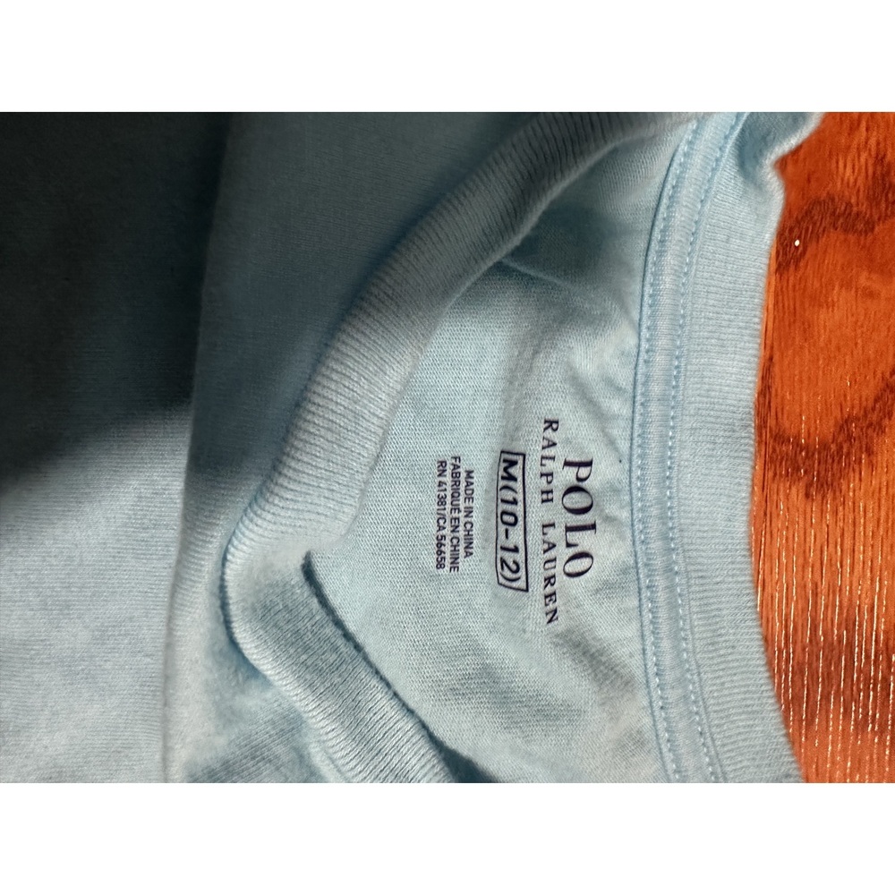 Polo by Ralph Lauren Gray Boys Hoodie
